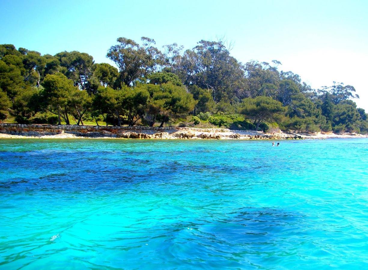 Magnifique "Gite De La Garoupe" Au Cap D'Antibes A 300M Des Plages Zewnętrze zdjęcie